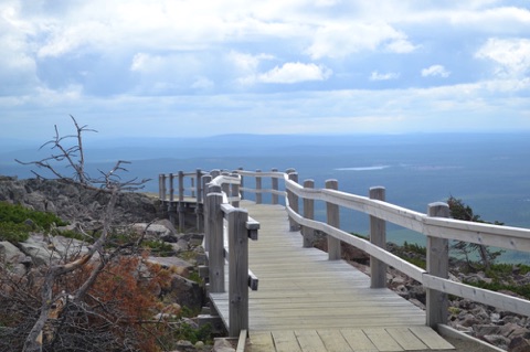 Boardwalk on Peak Trail, Levi
